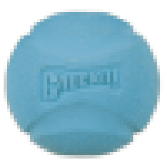 Chuckit! FETCH BALL MEDIUM Piłka do aportowania dla psa 6.5cm