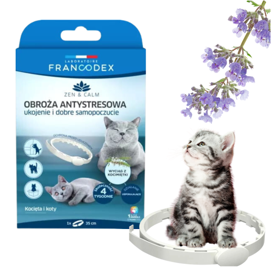 FRANCODEX Obroża antystresowa z kocimiętką dla kotów i kociąt 35 cm Laboratoire Francodex