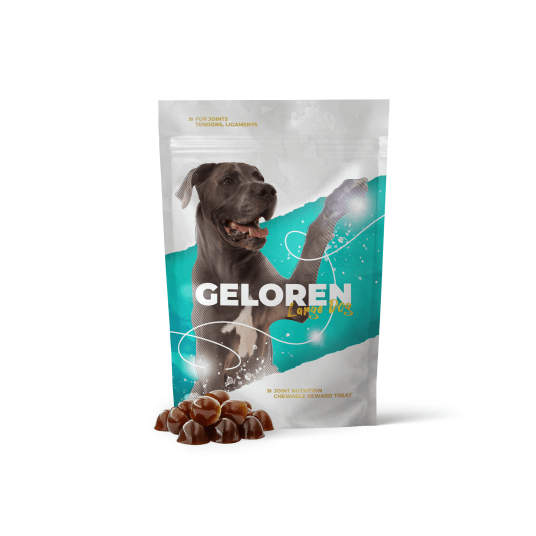 Geloren Large Dog Specjalistyczny suplement na stawy dla dużych psów XL - Żelki 420g