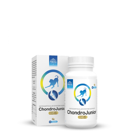 POKUSA ChondroLine ChondroJunior tabletki na stawy 120 sztuk