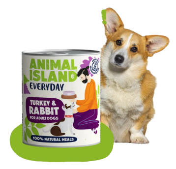 Animal Island EVERYDAY Mokra karma dla psa z Indykiem i Królikiem 800g
