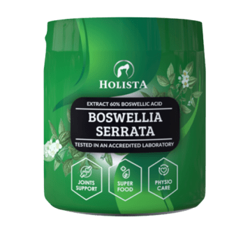 Boswellia Seratta 100g Holista